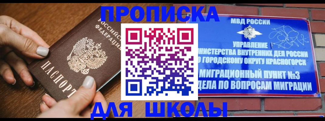 прописка для школы в Димитровграде